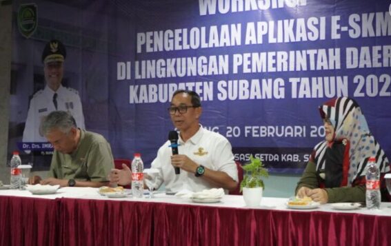 Workshop Pengelolaan Aplikasi E-SKM di Kabupaten Subang