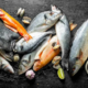 Risiko Konsumsi Ikan Bagi Penderita Hipertensi
