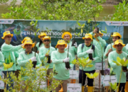 Upaya Pelestarian Lingkungan, PT Pertamina Hulu Indonesia Tanam Ribuan Bibit Mangrove di Kalimantan