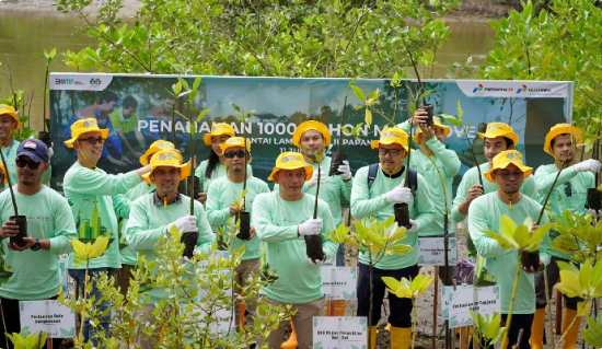 PT PHI Tanam Ribuan Bibit Mangrove