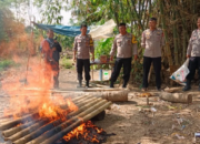 Grebek Judi Sabung Ayam, Polsek Patokbeusi Berhasil Amankan Barang Bukti dan Bakar Lapak Ayam