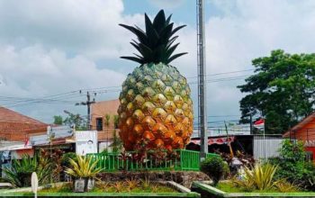 18 Rekomendasi Oleh Oleh Subang