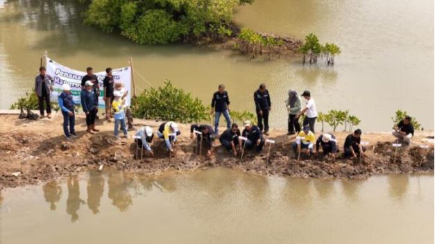 DAHANA Gelar Aksi Tanam Pohon Mangrove dan Kelapa di Pantai Utara Subang