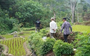 Pj Bupati Subang Tinjau Potensi Sumber Air Desa Buniara