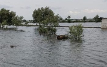 Potret Sawah dan Tambak