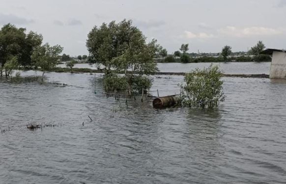 Potret Sawah dan Tambak