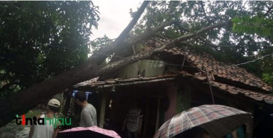 Rumah Warga Rusak dan Puluhan Hektar Sawah Terendam Banjir di Ciasem