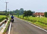 Warga Subang Harap Jalan Mulus seperti Lembur Pakuan, Keluhkan Banyak Titik Rusak dan Minim Penerangan 9 Warga Subang Harap Jalan Mulus seperti Lembur Pakuan, Keluhkan Banyak Titik Rusak dan Minim Penerangan