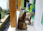 Geger ! Pria Tanpa Identitas Ditemukan Tewas di Teras Masjid Desa Mulyasari Subang 3 Geger ! Pria Tanpa Identitas Ditemukan Tewas di Teras Masjid Desa Mulyasari Subang