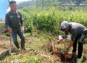 Tanam Seribu Pohon, D'Castello Subang Siap Jadi Destinasi Wisata Edukasi Lingkungan 11 Tanam Seribu Pohon, D’Castello Subang Siap Jadi Destinasi Wisata Edukasi Lingkungan