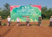 Wanakerta Jadi Sentra Tanam Jagung Polres Subang, Dukung Swasembada Pangan Nasional 2025 7 Wanakerta Jadi Sentra Tanam Jagung Polres Subang, Dukung Swasembada Pangan Nasional 2025