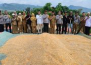 Panen Jagung 9 Ton, Polsek Cibogo Subang Buktikan Komitmen Dukung Ketahanan Pangan Nasional 8 Panen Jagung 9 Ton, Polsek Cibogo Subang Buktikan Komitmen Dukung Ketahanan Pangan Nasional