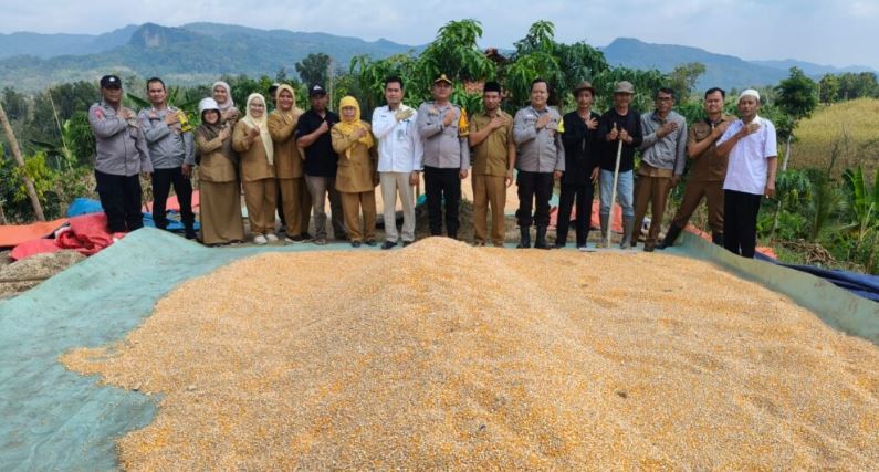 82 Hasil Panen Jagung Polsek Cibogo sebanyak 9 Ton Langsung Dibeli Bulog Seharga Rp.5.500 Perkilogram