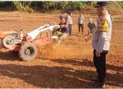 Polsek Pagaden Bersama Petani Garap Lahan Tidur untuk Tanam Jagung di Desa Jabong 13 Polsek Pagaden Bersama Petani Garap Lahan Tidur untuk Tanam Jagung di Desa Jabong