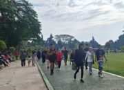 Bukan Sekedar Taman Kota, Alun - Alun Subang Kini Menjadi Tempat Rekreasi Favorit di Akhir Pekan 9 Bukan Sekedar Taman Kota, Alun – Alun Subang Kini Menjadi Tempat Rekreasi Favorit di Akhir Pekan