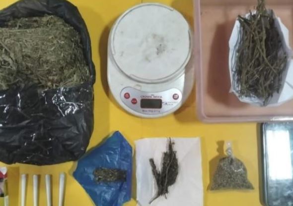 Polres Subang Bongkar Peredaran Ganja di Kasomalang 3168 Gram Barang Bukti Diamankan