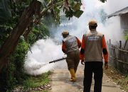 Cegah Penyebaran DBD, Assyifa Peduli Gelar Fogging Mandiri di Ciasem 27 Cegah Penyebaran DBD, Assyifa Peduli Gelar Fogging Mandiri di Ciasem