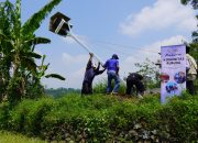 Atasi Hama Tikus di Sawah, Assyifa Peduli Kembali Pasang Rubuha di 5 Titik di Jalancagak 26 Atasi Hama Tikus di Sawah, Assyifa Peduli Kembali Pasang Rubuha di 5 Titik di Jalancagak