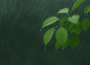 Inilah 7 Manfaat Air Hujan yang Jarang Disadari 8 Inilah 7 Manfaat Air Hujan yang Jarang Disadari