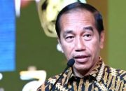 Ray Rangkuti Soroti Dinamika Kekuasaan Baru: Pengaruh Politik Jokowi Dinilai Mulai Meredup di Era Prabowo–Gibran 10 Ray Rangkuti Soroti Dinamika Kekuasaan Baru Pengaruh Politik Jokowi Dinilai Mulai Meredup di Era Prabowo–Gibran