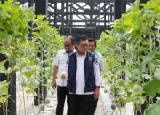 Wujudkan Kemandirian Pangan Nasional, Wabup Subang Dukung Strategi Protein Nabati Mandiri 9 Wujudkan Kemandirian Pangan Nasional Wabup Subang Dukung Strategi Protein Nabati Mandiri