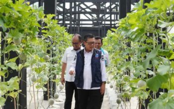 Wujudkan Kemandirian Pangan Nasional, Wabup Subang Dukung Strategi Protein Nabati Mandiri 3 Wujudkan Kemandirian Pangan Nasional Wabup Subang Dukung Strategi Protein Nabati Mandiri