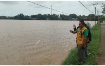 Hujan Deras Rendam 225 Hektar Sawah di Patokbeusi Subang, Petani Terancam Gagal Panen 3 Hujan Deras Rendam 225 Hektar Sawah di Patokbeusi Subang Petani Terancam Gagal Panen