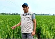Dari Sawah ke Hilirisasi : Jejak Panjang Otong Wiranta Membangun Usaha Tani Berkelanjutan di Subang