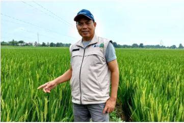 Jejak Panjang Otong Wiranta Membangun Usaha Tani Berkelanjutan di Subang